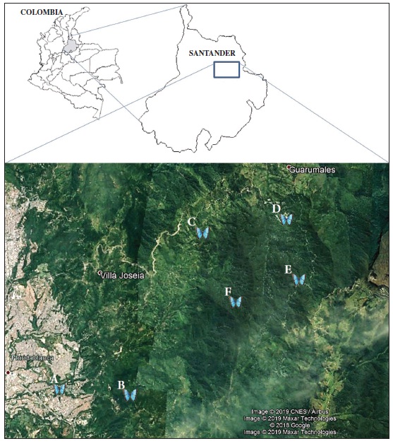 Ubicación de los sitios de muestreo dentro de la cuenca de río Frío. A: Jardín Botánico Eloy Valenzuela; B: Finca Experimental La Esperanza; C: Finca Experimental El Diviso; D: Finca La Mariana; E: La Nevera; F: Cerro La Judía. (Adaptado de Google Earth Pro).