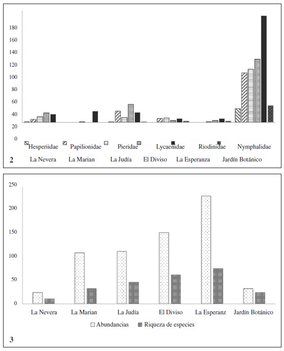 2. Abundancias de las familias de Lepidoptera en los diferentes sitios de muestreo. 3. Abundancias y riquezas de especies en cada uno de los sitios de muestreo.