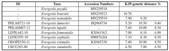 K2P-genetic distances between the species in same clade with species of the presented Evergestis.