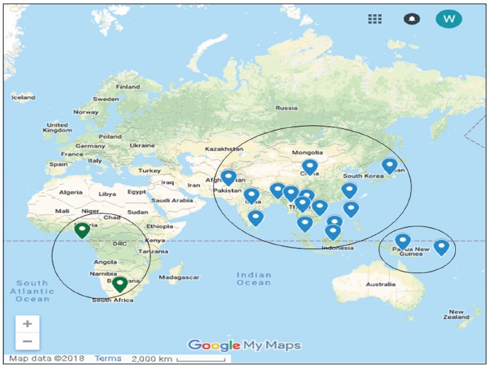 Distribution of the red coffee borer, Polyphagozerra coffeae (Nietner, 1861) (Lepidoptera: Cossidae) around the world: Africa (medium size circle - countries highlighted in green color), Asia (large size circle - countries highlighted in blue color) and Oceania (small size circle - countries highlighted in blue color). Map prepared using Google Maps (Google LLC®; California, United States of America) in December 2018.