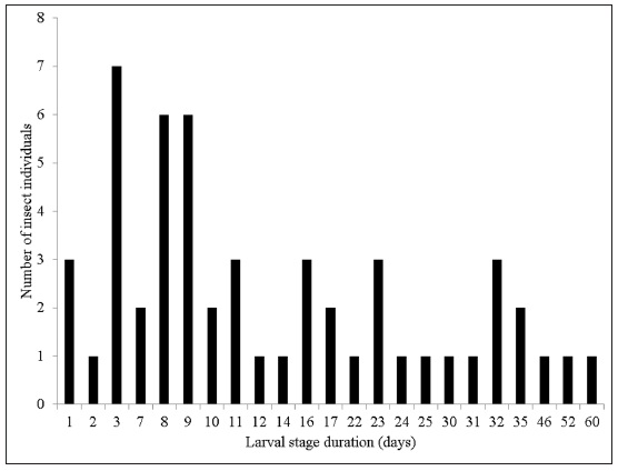 Larval stage duration (days) of the red coffee borer, Polyphagozerra coffeae (Nietner, 1861) (Lepidoptera:Cossidae) from the collection date until insect death by unknown reasons or turned into pupa. Numberof individuals evaluated= 53. Riau, Sumatra, Indonesia.