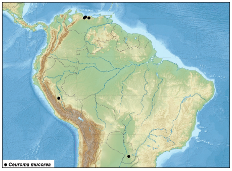 Map of distribution of Ceuromamucorea (H.-S.).