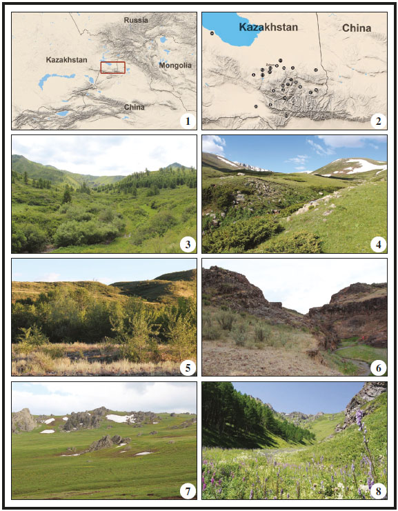 1. Location of the Saur Mountains. 2. Map of the Saur Mountains with points of collecting localities. 3-8. Photos of collecting localities in the Saur Mountains (photo: A. Naydenov & V. Doroshkin). 3. 20 km SEE Zaisan. 4. Tas Mt. (northern slope). 5. Kenderlik river Valley (left bank). 6. 15 km SSW Karabulak Village. 7. 7 km NE Chagan-Obo. 8. upper stream Bolshoi Zhemenei riv.
