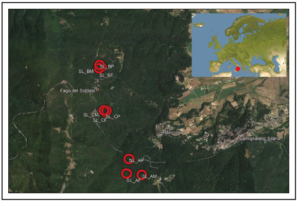 Location of study area