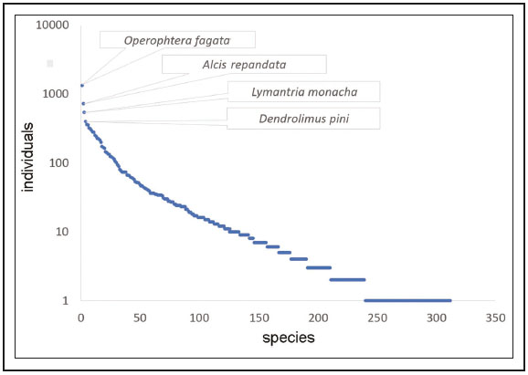 Logarithmic abundance of moth species in a mixed pine-beech forest of the Sila Mountains. The name of the four most abundant taxa is reported