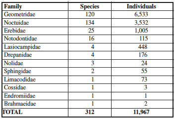 Number of species and individuals belonging to moth families collected in a mixed pinebeech forest of the Sila Mountains