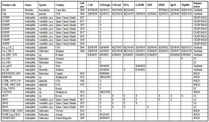 List of specimens sequenced their voucher codes collection country gene fragments sequenced and GenBank accession numbers