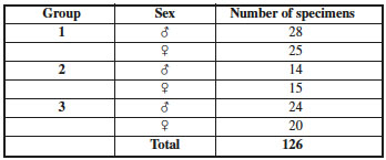 Numbers of specimens by group and sex used in the analysis