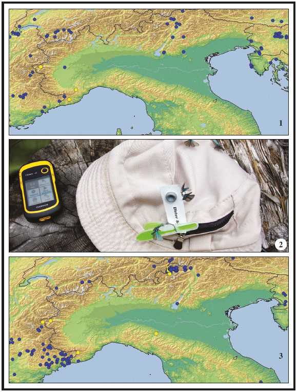 1. Distribution map of Rhagades pruni in Italy with new data (yellow dots). 2. The males of Jordanita subsolana attracted to the lure EFETOV-S-2, province Bolzano, Alto Adige, Vinschgau, Mals, Laatsch, Oberberg, 20-VII-2017. 3. Distribution map of Jordanita subsolana in Italy with new data (yellow dots).
