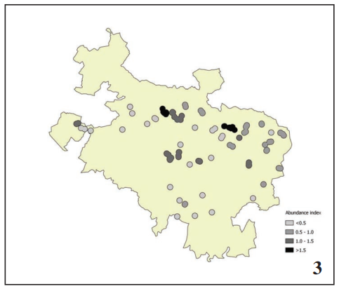 Classification of the clumps of nests according to their abundance index