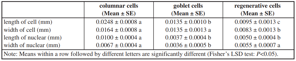 Differentiation of cells in the larval midgut