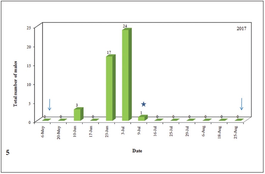 Seasonal flight of Th. ampellophaga males at Chiflik village (Demir Kapija) in 2017 recorded from two replicates of traps baited with synthetic sex attractant EFETOV-2 (racemic mixture of (2R)-butyl 2- dodecenoate and (2S)-butyl 2-dodecenoate). The arrows indicate the monitoring period while asterisk indicates date when lures were renewed