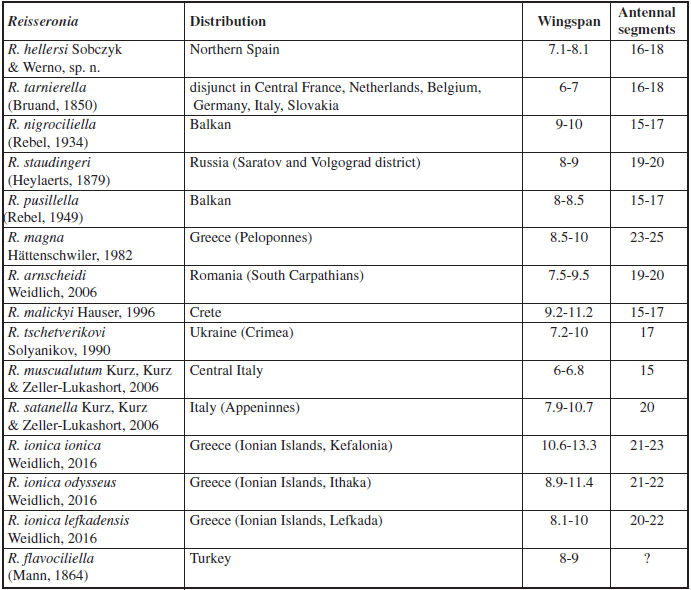 Overview of Reisseronia species (males) (after ARNSCHEID & WEIDLICH 2017; WEIDLICH 2016, own knowledge).