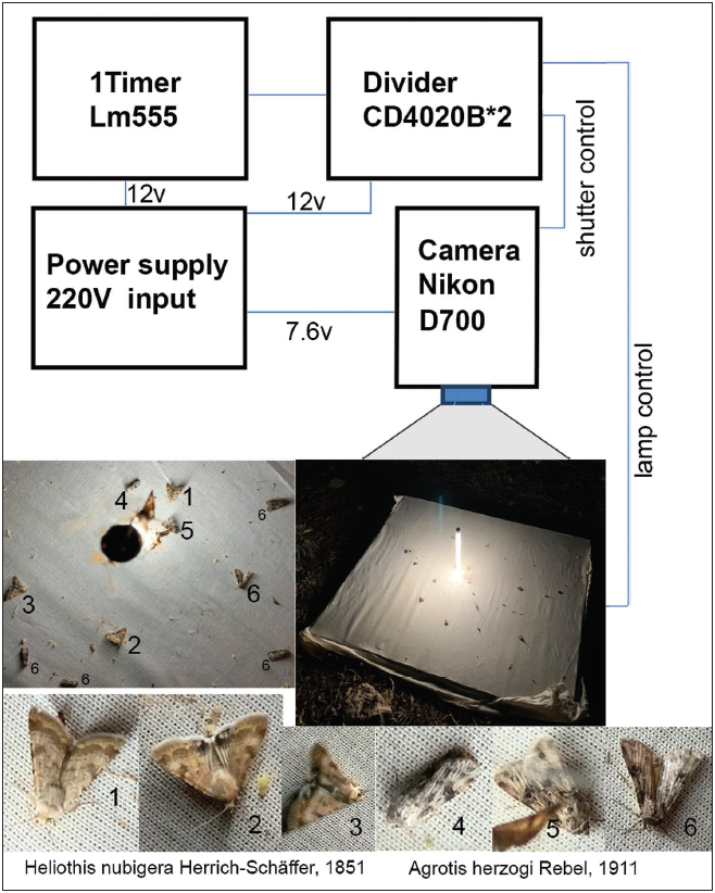 Electric devices and light trap design.