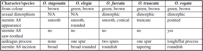 Morphological characteristics within the Oospila stagonata species group.