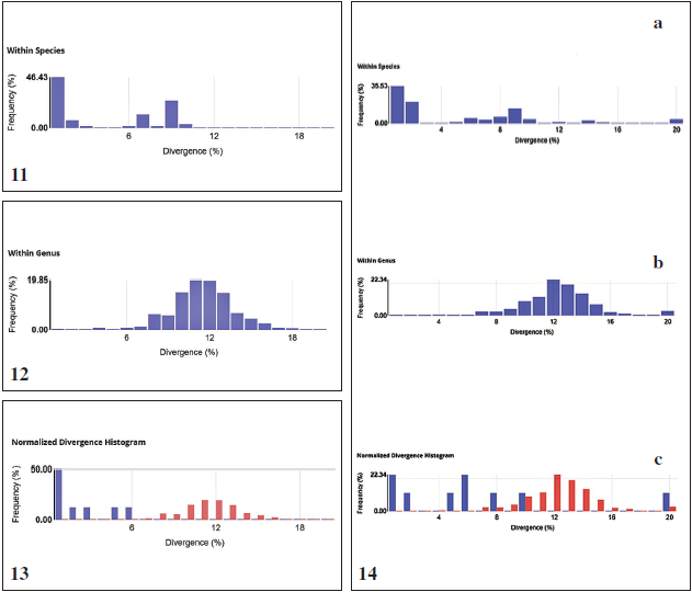 Distance summary graphs 1. The sequence divergence for all sequences of Ptilocephala from the project POESE compared on the species level. 12. Distance summary graphs 2. The sequence divergence for all sequences of Ptilocephala from the project POESE compared on the genus level. 13. Distance summary graphs 3. The distribution of normalized divergence for species (blue) against the genus divergences (red). 14. Distance summary graphs of sequence divergence for all sequences of the genus Ptilocephala in BOLD: a. Sequence divergence compared at the species level. b. Sequence divergence compared at the genus level. c. This histogram plots the distribution of normalized divergence for species (blue) against the genus divergences (red).