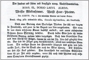 Facsimile of the original description of P. albida by ESPER (1786)