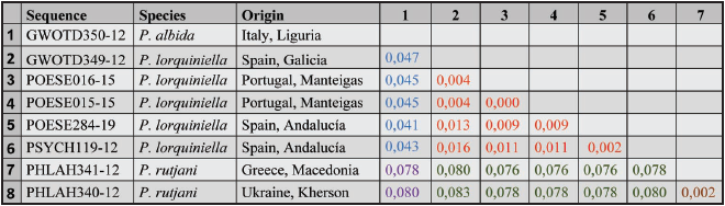 DNA barcode K2P divergences of Ptilocephala albida-species group.