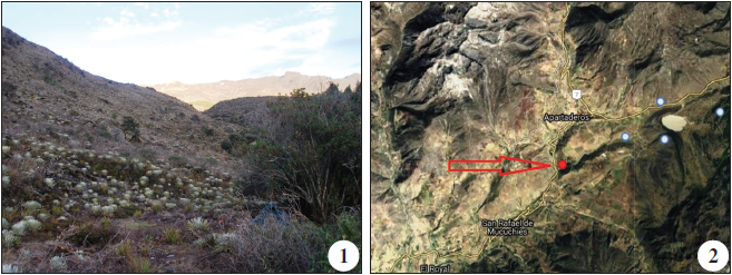 Biotope and maps. 1. Biotopes Cordillera de Merida, Apartaderos. Photo A. Lastukhin. 2. Maps and location of Cordillera de Merida, Apartaderos.
