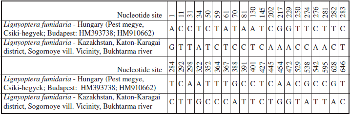 COI 5’ substitutions in L. fumidaria collected in East Kazakhstan. Localities and ID (GenBank) of barcode are provided in parentheses.