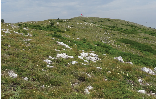 Type locality of Oncocnemis michaelorum srnkai Beshkov, ssp. n.: Tchepun Hill, below Petrovski. Krust summit, 1167 m.