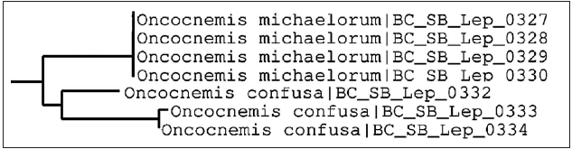 Barcode TaxonID Tree.