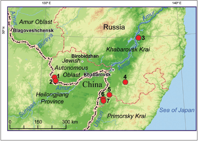 Map of collecting localities (red circles) in the Southern Amur Region: 1. Soyuznoe, 2. EkaterinoNikol’skoe, 3. Malmyzh, 4. Durmin, 5. Podkhorenok Chetvertyy, 6. Solntsepek, 7. Shivki.