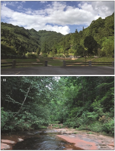 10. Guizhou Province, Zunyi City, Shierbeihou scenic spots, Shuanghe village: collecting site close to a mixed broadleaf-conifer forest with patches of grassland. 11. Chongqing Municipality, Mt. Simian: collecting site close to a subtropical forest with massive shrubs growing in the ground cover layer of the forest.