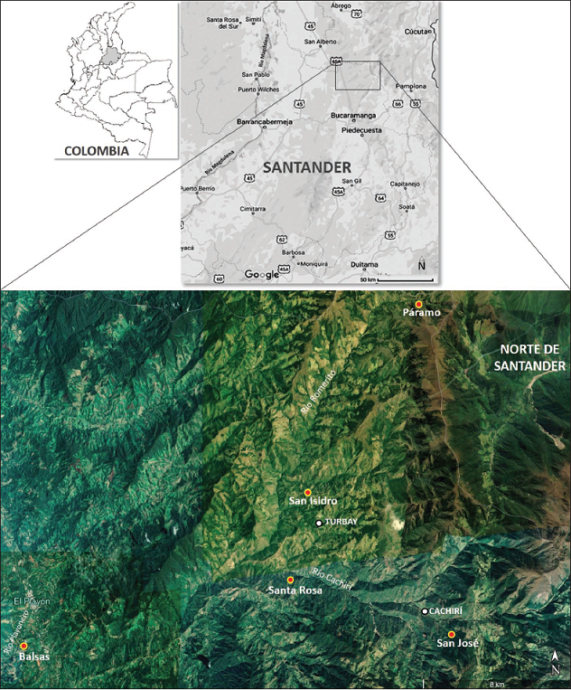 Ubicacin de los sitios de muestreo de la cuenca de ro Cachir. (Modificado de Google Earth Pro). Balsas (selva neotropical inferior, 400 msnm), Santa Rosa (selva neotropical subandina, 1.220 msnm), San Isi- dro (selva neotropical subandina, 2.180 msnm), San Jos (selva neotropical andina, 2.410 msnm), Pramo (3.250 msnm).