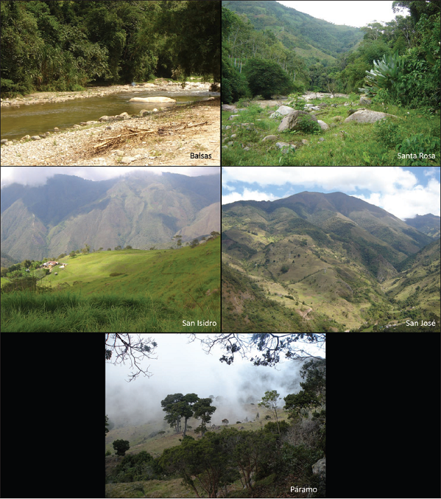 Vista general de las localidades muestreadas en la cuenca de ro Cachir. Balsas (selva neotropicalinferior, 400 msnm), Santa Rosa (selva neotropical subandina, 1.220 msnm), San Isidro (selva neotropical subandina,2.180 msnm), San Jos (selva neotropical andina, 2.410 msnm), Pramo (3.250 msnm).