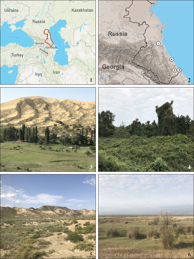 1. Dagestan Republic on the map. 2. Map of the collecting localities. 3. Sarykum Barkhan, September 2020 (photo by R. Yakovlev). 4. Samur forest, September 2020 (photo by R. Yakovlev). 5. Sirtych, September 2020 (photo by R. Yakovlev). 6. Novokayakent, September 2020 (photo by R. Yakovlev).