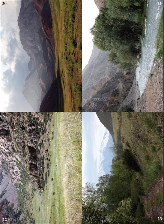 Biotopes of Mecyna salangalis Amsel, 1970. 20. Alai Mts., Kyzyl-Eshme valley. 21. Talassky Mts., Kara-Buura river. 22. Moldo-Too Mts. near Koro-Goo Pass. 23. Dzhumgaltoo Mts., Sary-Kaiky gorge.