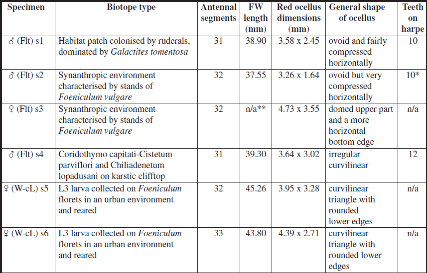Biometric data of specimens examined. (sn = specimen-allocated code number; Flt = taken in flight; W-cL = reared wild-collected larva).