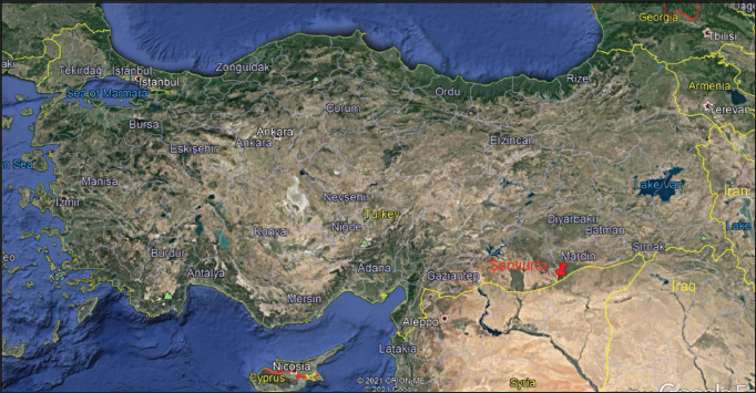 The collection locality of Slamkania pseudosordida specimens (Red pin) (GOOGLE EARTH PRO, 2021).