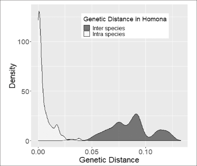 Distribution of pairwise genetic distances amongst 65 Homona Walker (Lepidoptera: Tortricidae) samples.