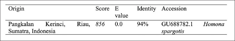 Origin, score, E value, identity, and accession