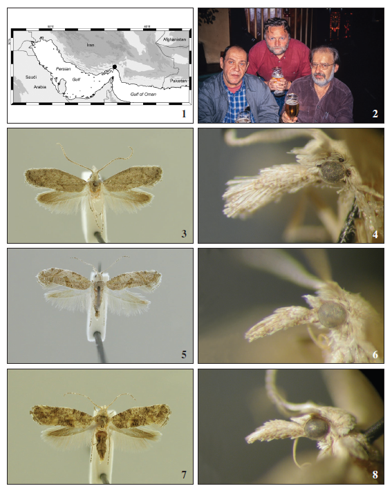 1. Map of southern Iran and adjacent regions. The black circle denotes the type locality of the described species east of Bandar Abbas. 2. Meeting of Juri Nekrutenko, W. Mey and G. Lamas (from left to right) in the Brenschenke in October 2000. 3-4. Male of Baerenschenkia lamasi Mey, sp. n. 3. Adult moth, 4. Head in lateral aspect. 5-6. Male of Deryaxenistis nekrutenkoi Mey, sp. n. 5. Adult moth, 6. Head in lateral aspect. 7-8. Male of Paraxenistis ammolofon Mey, sp. n. 7. Adult moth, 8. Head in lateral aspect.