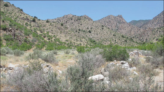 Artsvakar gorge near Meghri in Armenia, habitat of holotype 
                                        Gladiovalva arevika Bidzilya & Šumpich, sp. n.
                                    