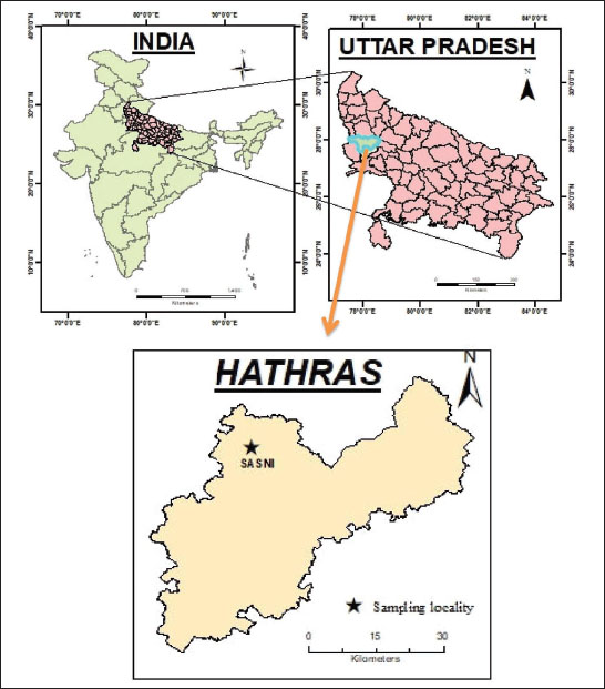 Site of observation of 
						M. pyrrhostictaButler, 1875.
					