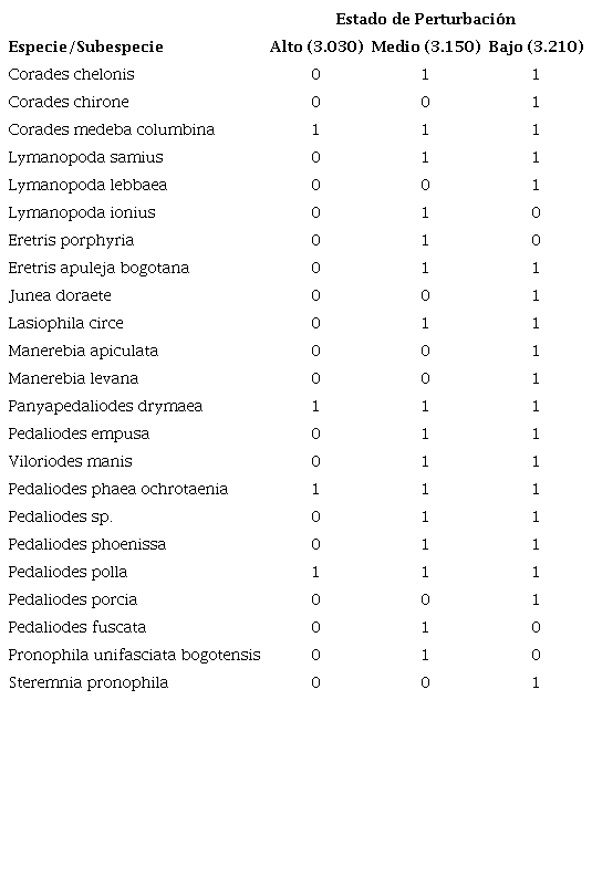 Presencia y ausencia de especies de Pronophilina por estado de perturbaci&oacute;n: &ldquo;Bajo&rdquo; - &ldquo;Medio&rdquo; - &ldquo;Alto&rdquo; con su respectiva altitud en m.s.n.m. (0- Ausencia; 1- Presencia).