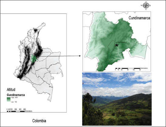 &Aacute;rea de estudio, Vereda Frailejonal, Municipio la Calera, Cundinamarca, Colombia.