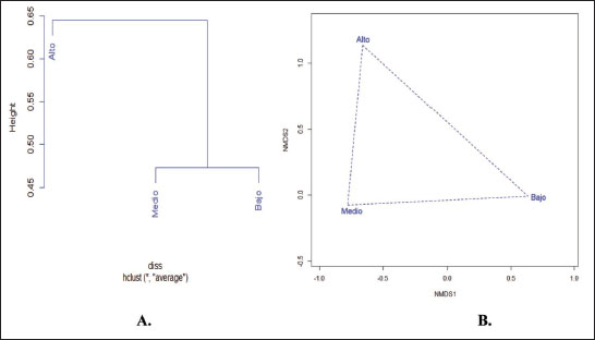 A. An&aacute;lisis Cl&uacute;ster usando el &iacute;ndice de disimilitud de Bray-Curtis 
									B. An&aacute;lisis de ordenaci&oacute;n por Escalamiento Multidimensional No-M&eacute;trico (NMDS).
								