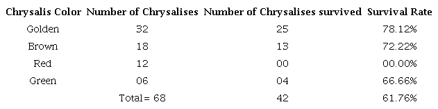 Details of different types of Chrysalises and their Survival rate.