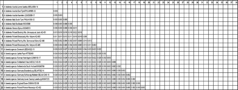 Pairwise genetic distances between 
								Aporophyla species.
							