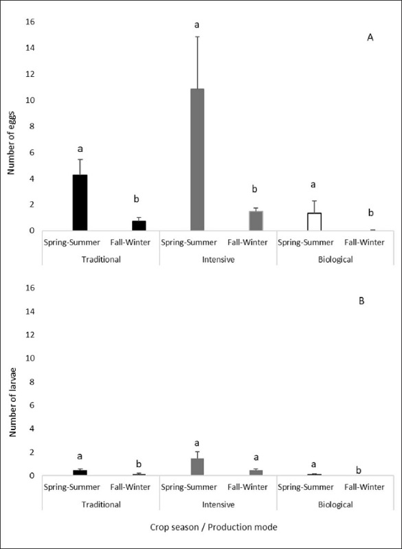 Number of eggs (
								A) and larvae (
								B) of 
								T. absoluta per foliolo per crop season (spring-summer vs fall-winter) under different tomato crops produced under different production modes.
							