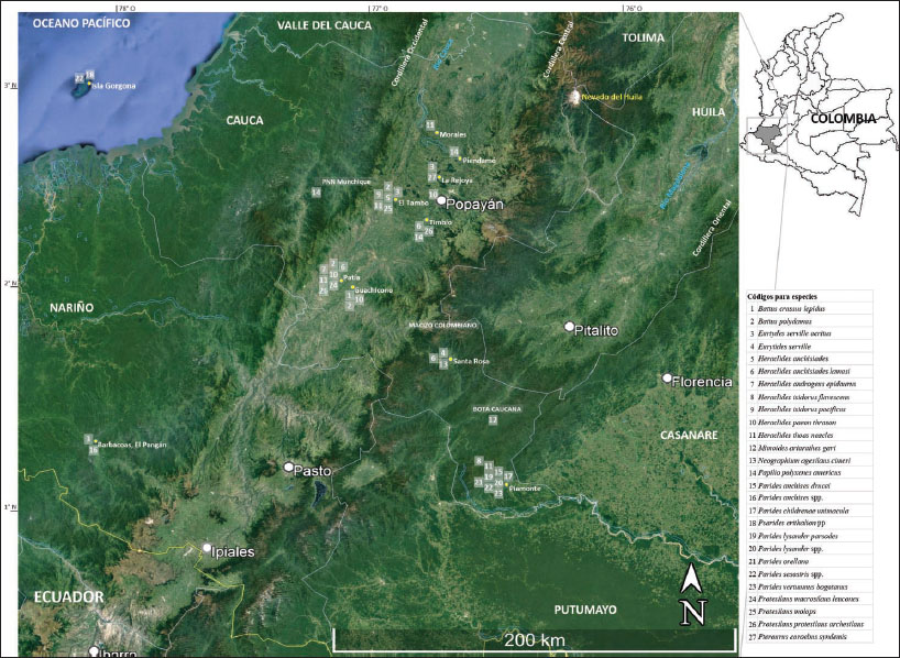 Distribución geográfica de las especies encontradas para Cauca y Nariño, en la Colección de Entomología del MHN-UniCauca.