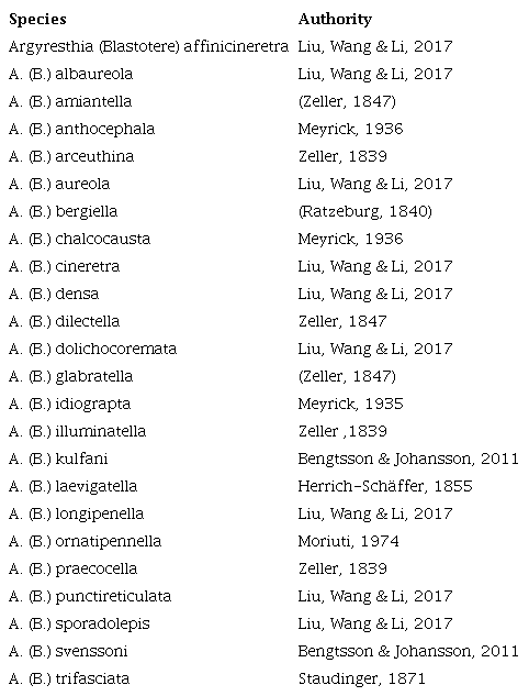 Species currently described formally in subgenus 
						BlastotereRatzeburg 1840.
					
