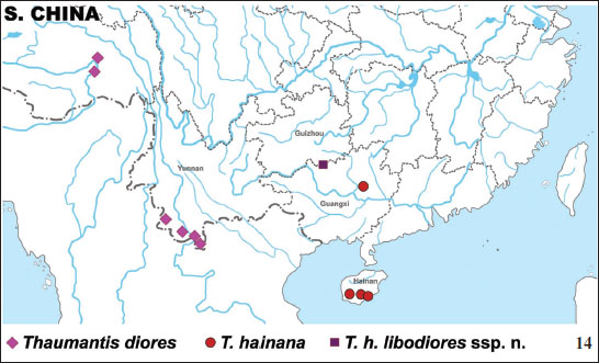 Distribution map of 
									Thaumantis hainana (Crowley) and 
									T. diores Doubleday in China.
								
