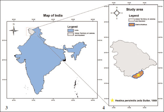 3. Map of India. 
							4. Map showing the distribution of 
							Hestina persimilis zella Butler, 1869 in Kathua district of Jammu and Kashmir Union Territory.
						