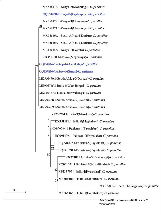 Maximum likelihood phylogenetic analysis of partial mitochondrial COI sequences of 
									Chilo partellus specimens collected from maize fields in Türkiye along with sequences from other countries. Bootstrap values lower than 50 are not presented on branches (*). The reference species is 
									Chilo diffusilineus.
								